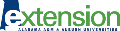 extension logo