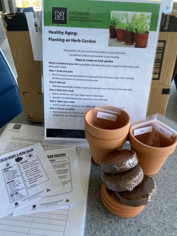 Instructions for healthy aging: planting an herb garden with pots filled with dirt