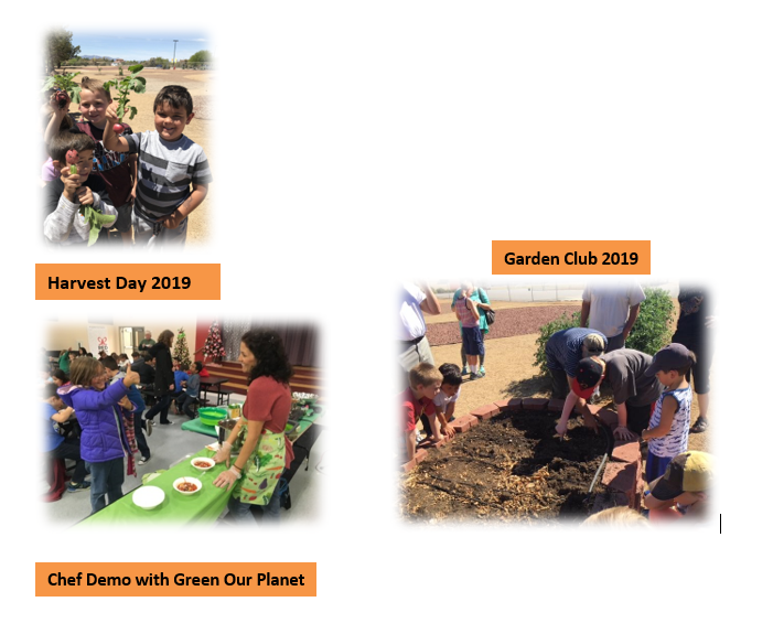Harvest Day 2019 kids holding up radishes from the garden; Chef demo with green our planet; Garden club 2018 with kids in the garden