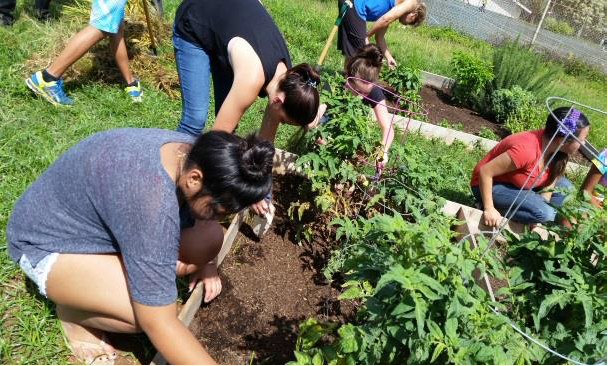 Teenagers working in a garden