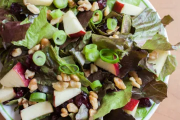 apple salad cranberry toss