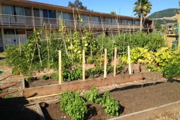 garden in front of apartment building