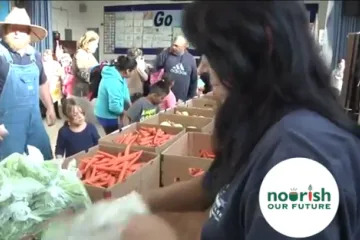farmer stands behind boxes of vegetables