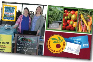 collage of incentive pilot marketing materials