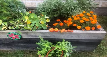 Flower and vegetable garden