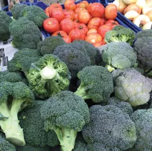 broccoli and tomatoes